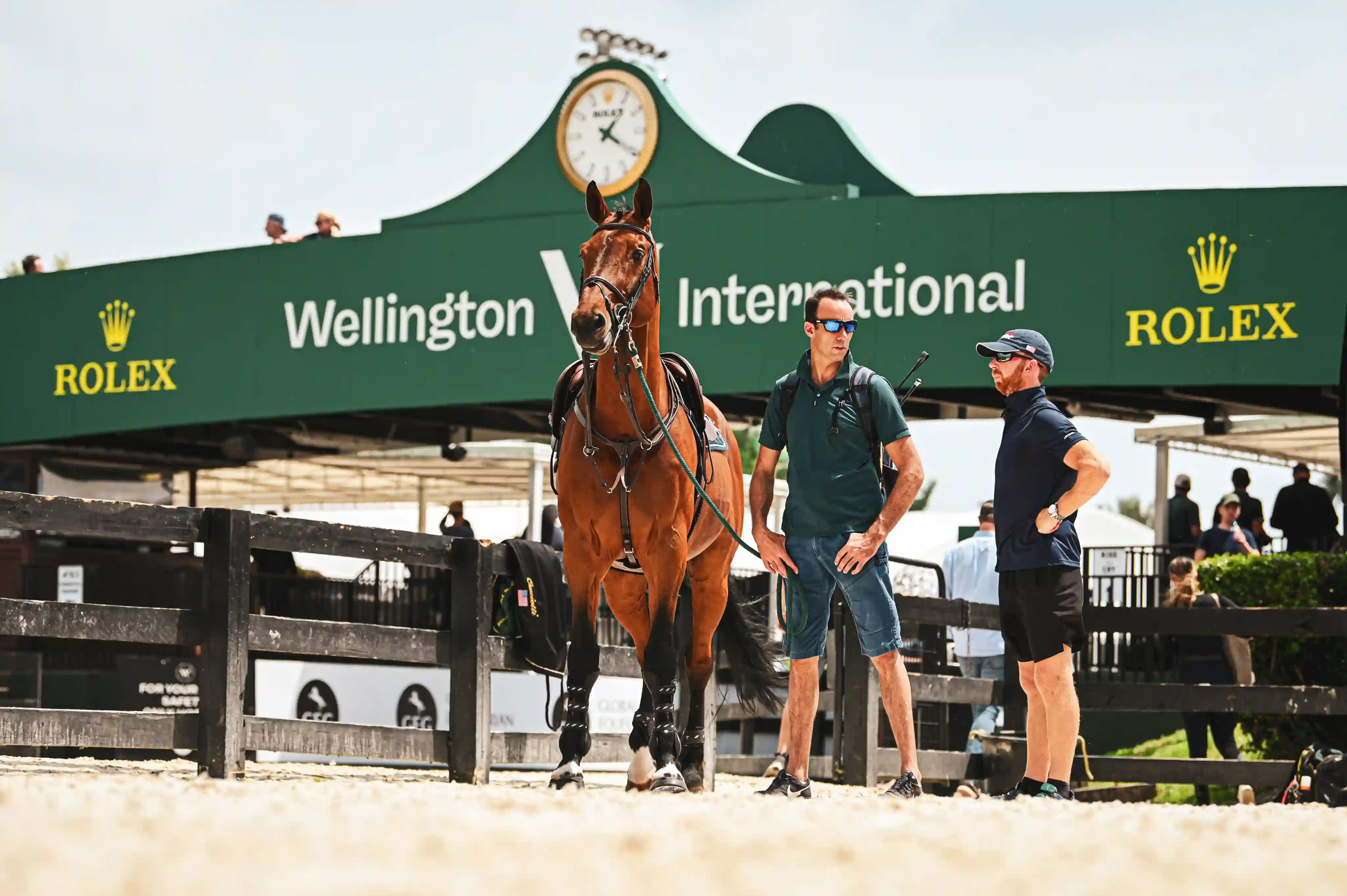 Wellington International
